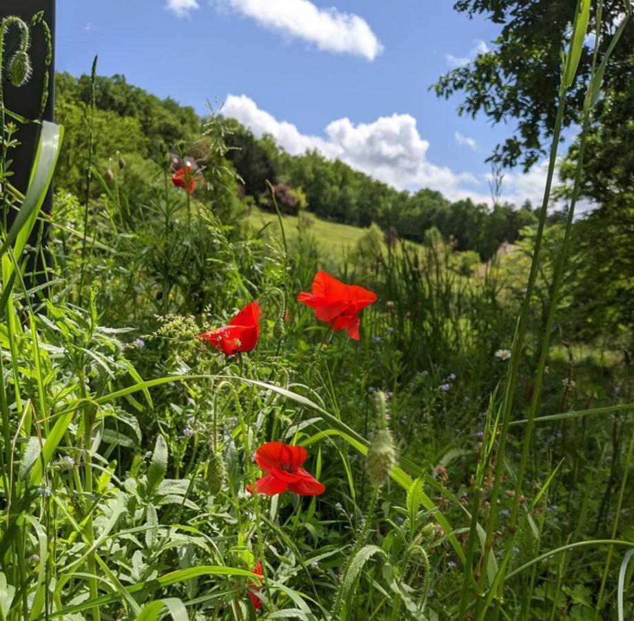 Domaine De Fleurie Bed and Breakfast Tursac Esterno foto