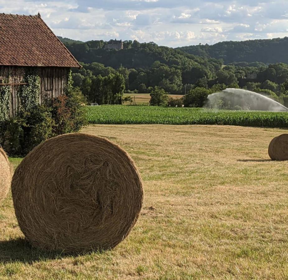 Domaine De Fleurie Bed and Breakfast Tursac Esterno foto